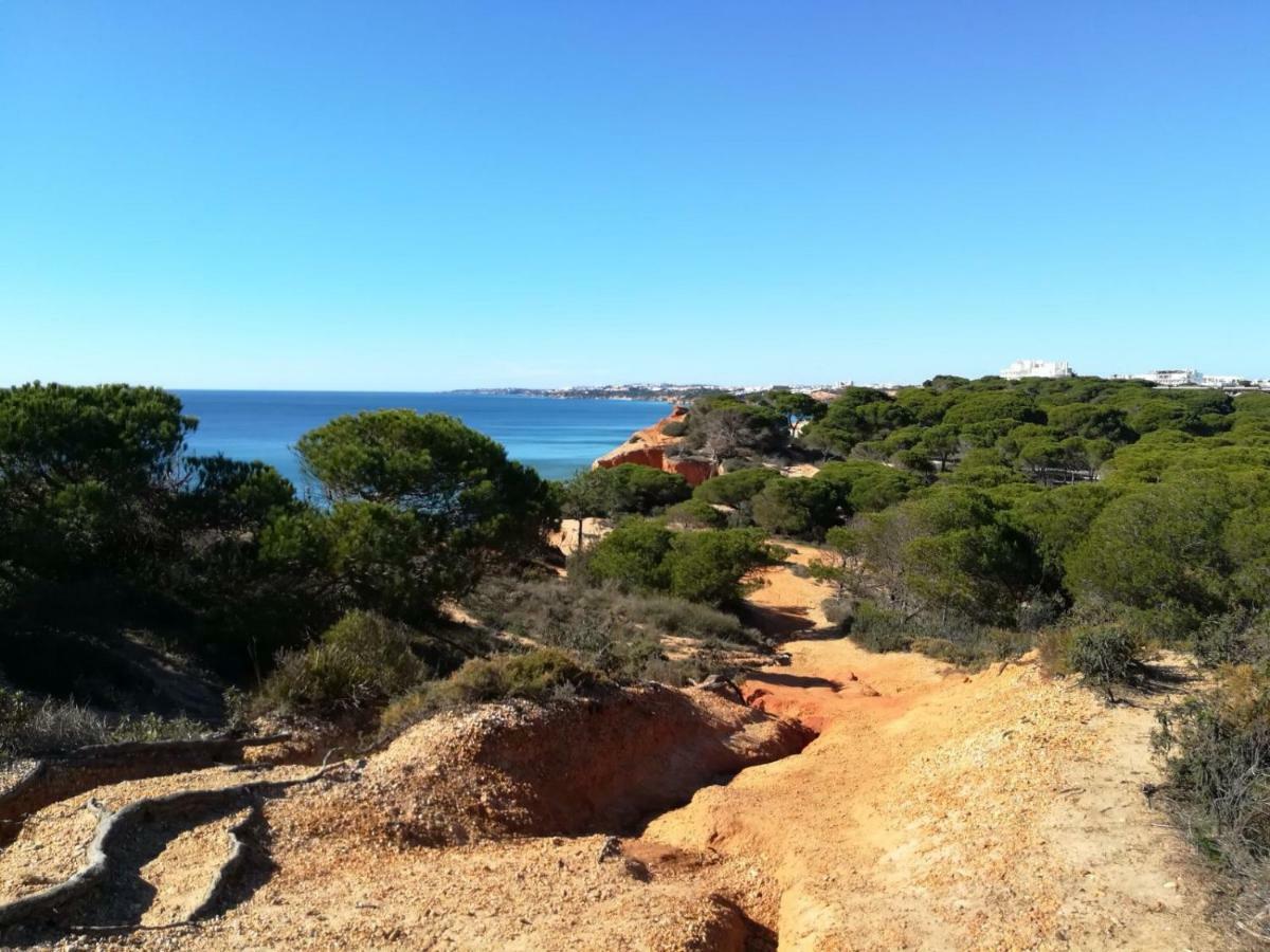 Algarve Friendly Apartment Albufeira Eksteriør billede